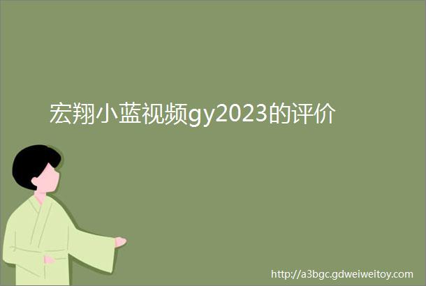 宏翔小蓝视频gy2023的评价